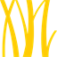 Logo Gaorong Capital Co. Ltd.