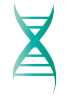 Logo Vaxdyn SL