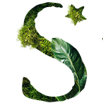 Logo SH Group Operations LLC