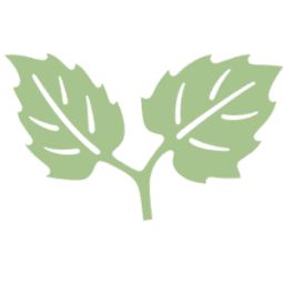 Logo Primo Center For Women & Children