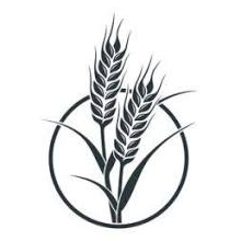 Logo Southeastern Illinois Community Foundation