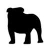 Logo Bulldog Innovation Group LLC