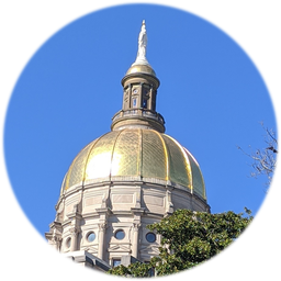 Logo Georgia State Senate