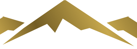 Logo Regius Resources Group Ltd.