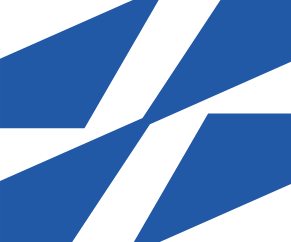 Logo Disa LLC