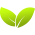 Logo Genius Link Assets Management Ltd.