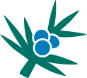Logo Juniper Capital Management LLC