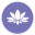 Logo Therapie Laser Clinics Ltd.
