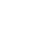 Logo Anaxiom Corp.