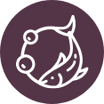 Logo Biomega Group AS