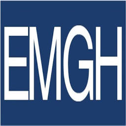 Logo Emerging Markets Investment Advisers Pte Ltd.