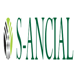 Logo S-Ancial Group