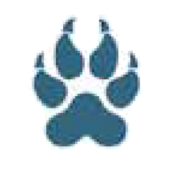 Logo Wolf Midstream, Inc.
