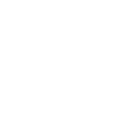 Logo Athletes of Valor PBC