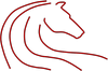 Logo Centaur Health Holdings, Inc.