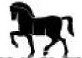 Logo CCVL Participações Ltda.