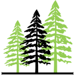 Logo Canadian Shield Capital Inc.