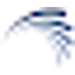 Logo SeaSpine Orthopedics Corp.