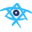 Logo Birthright Israel International CC