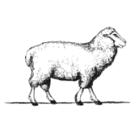 Logo Cripps Barn Group Ltd.