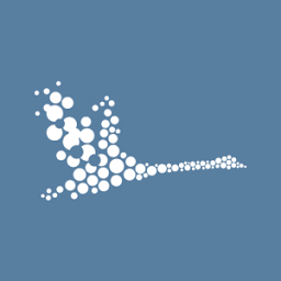 Logo Thomas Swan Holdings Ltd.