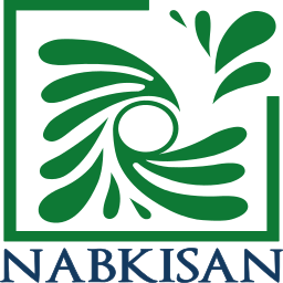 Logo Nabkisan Finance Ltd.