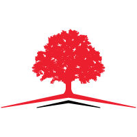 Logo Alnus Yatirim Menkul Degerler AS
