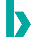 Logo Bulk Infrastructure Holding AS