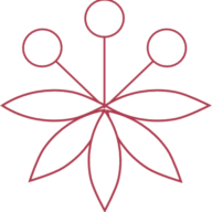 Logo Spice Capital Partners LLP