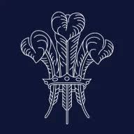 Logo The Feathers Association