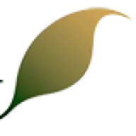 Logo The Sahara Forest Project AS