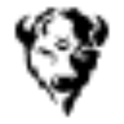 Logo CallOut LLC