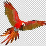 Logo ISME Pvt Ltd.
