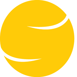 Logo Solvis doo