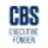 Logo CBS Executive Fonden