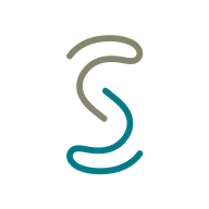 Logo Schulthess Klinik