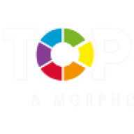Logo Top Data Science Oy