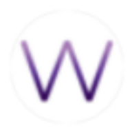 Logo Wise Ventures, LLC