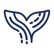 Logo Orca AI Ltd.
