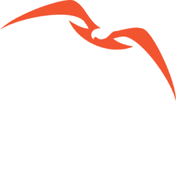 Logo Nisos Holdings, Inc.