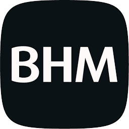 Logo BHM Group as