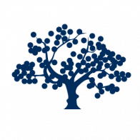 Logo Live Oak Private Wealth LLC