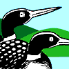 Logo Camp Beech Cliff