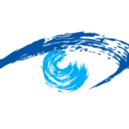 Logo Total Vision LLC