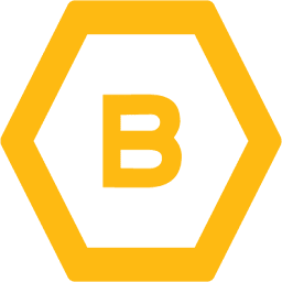Logo Beewise Technologies Ltd.