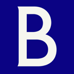Logo Brunswick Europe Ltd.