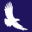 Logo Falcon Housing Association C.I.C.