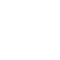Logo Shepperton Hotels Holdings Ltd.