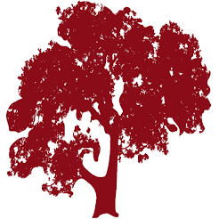 Logo Woodside Academy