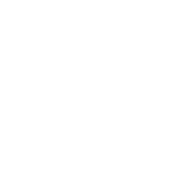 Logo Constance Iron Ltd.
